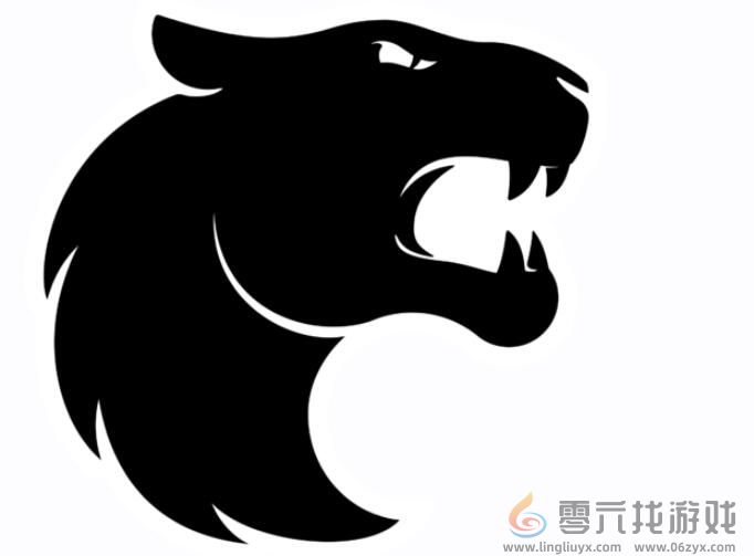 cs2沙特电竞世界杯FURIA阵容介绍(图2)