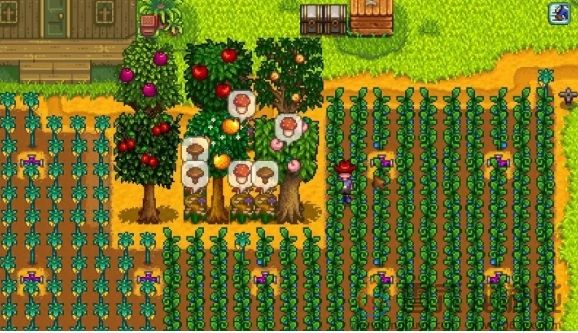 星露谷物语蘑菇树桩流玩法攻略(图2)