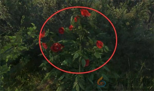 天国拯救2深山隐士支线任务攻略分享(图13) 天国拯救2深山隐士支线任务攻略分享(图13)